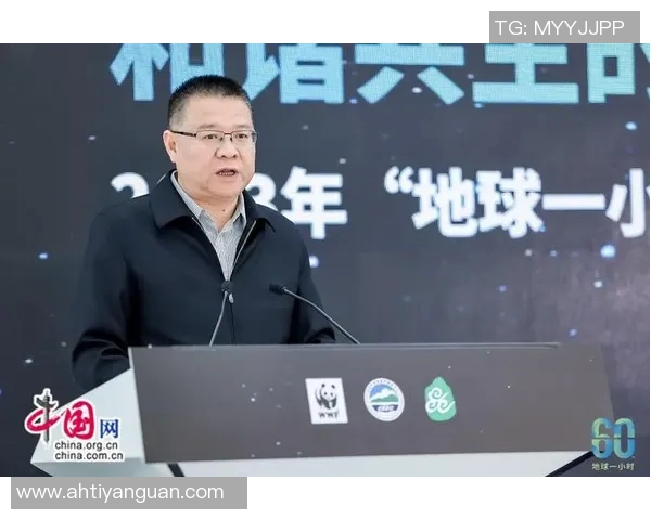 南京飞盘队运营分析：成功经验与面临挑战的全面探讨