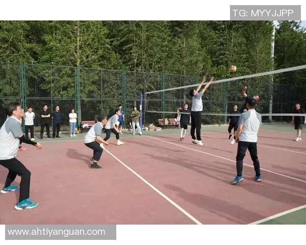 广州排球队的节奏与魅力探讨：排球运动的激情与团队精神