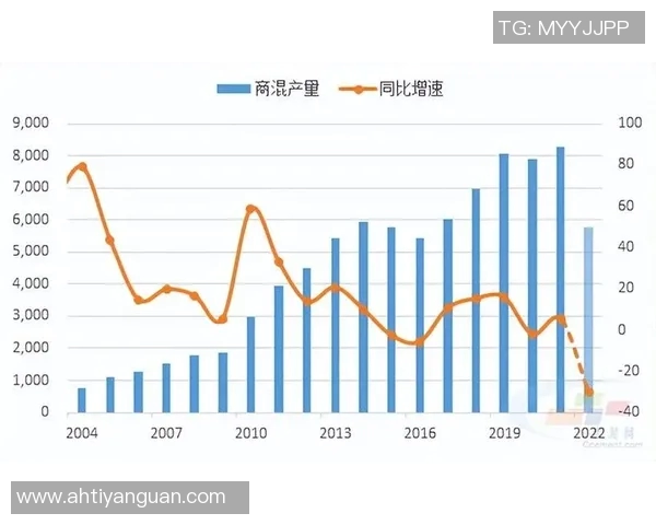 重庆网球队在新老交替中的挑战与机遇分析